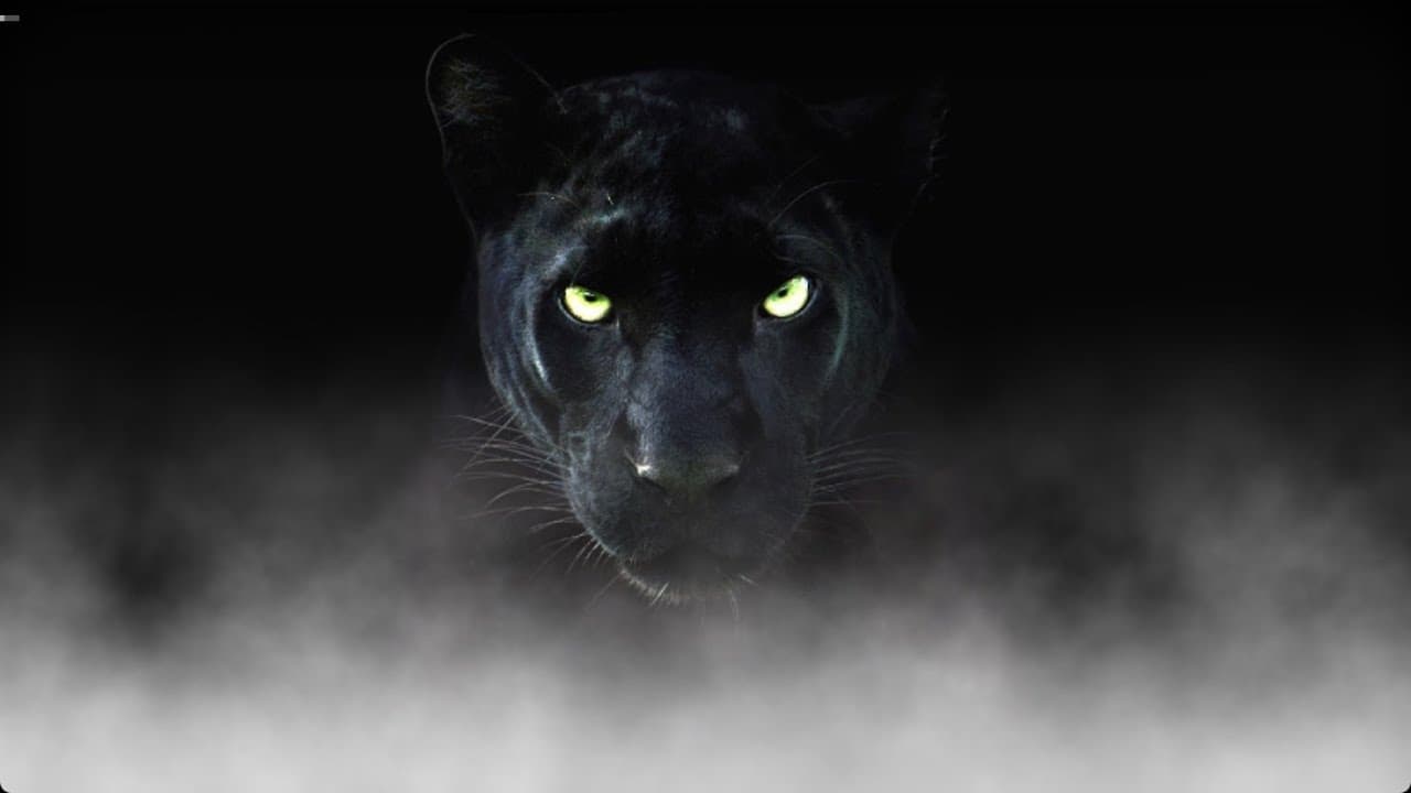 βοΈ A Proud Boyβs Sentence ποΈ